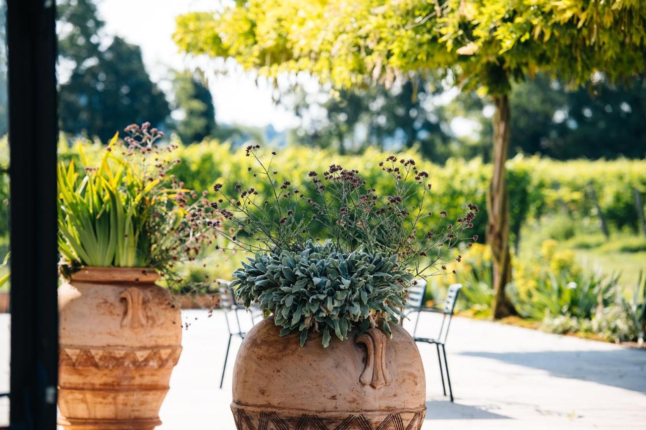 Dimora Buglioni Wine Relais Villa San Pietro in Cariano Dış mekan fotoğraf