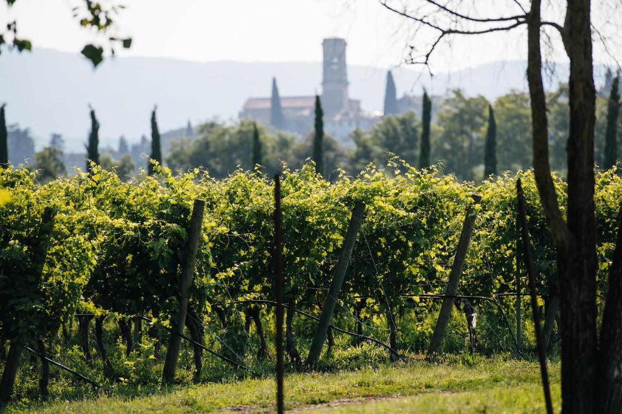 Dimora Buglioni Wine Relais Villa San Pietro in Cariano Dış mekan fotoğraf