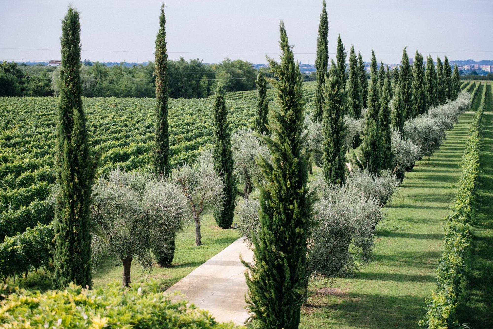 Dimora Buglioni Wine Relais Villa San Pietro in Cariano Dış mekan fotoğraf