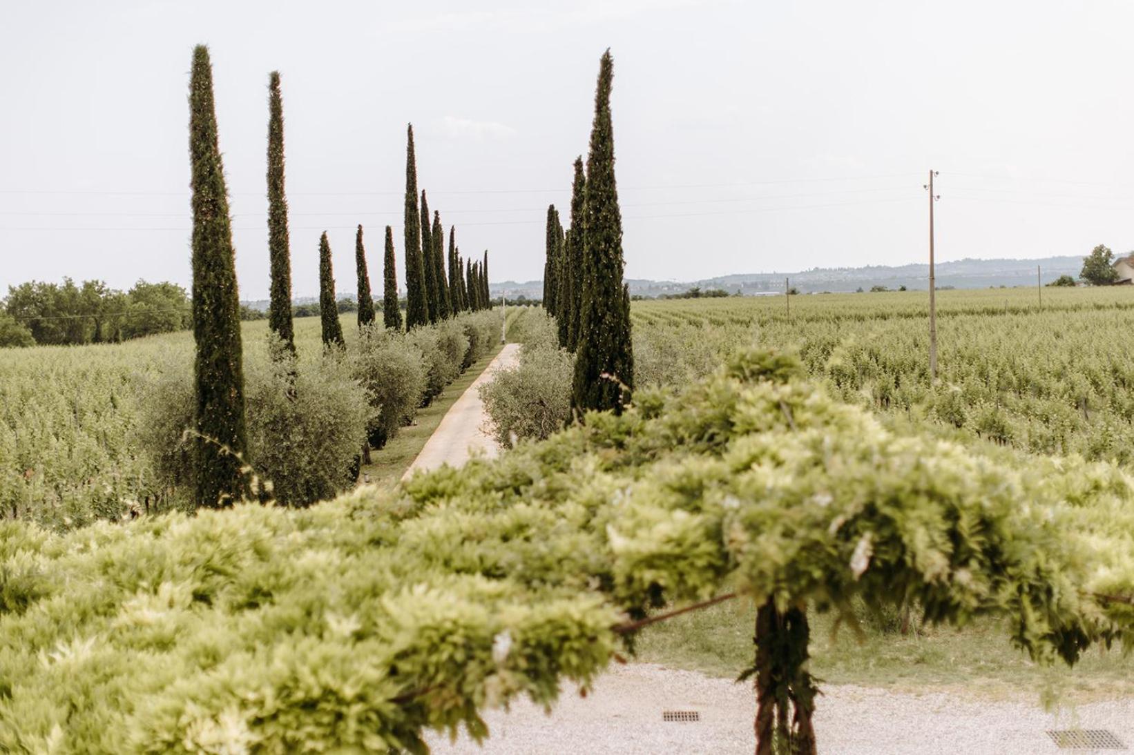 Dimora Buglioni Wine Relais Villa San Pietro in Cariano Dış mekan fotoğraf